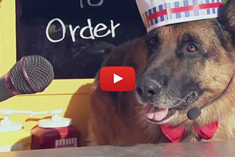 Ever Order A Hotdog From A German Shepherd?