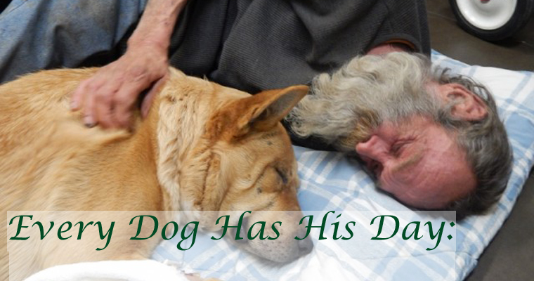 Every Dog Has His Day