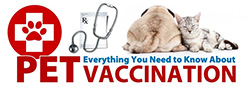 Everything You Need To Know About Pet Vaccination
