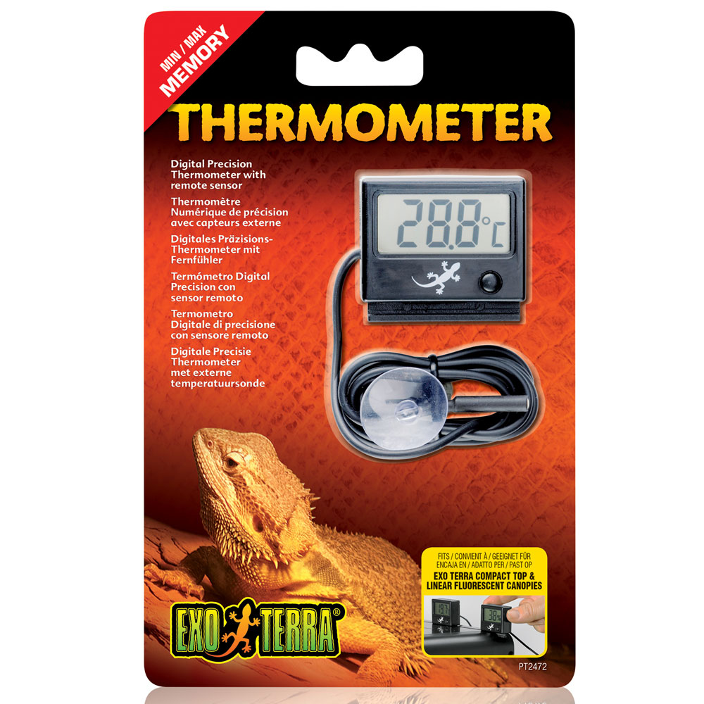 EXOTERRADIGTHERMPROB