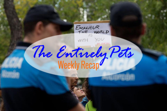 Exposure to Ebola Proves Deadly for Spanish Dog, Dozens of Missing Cats Point to Foul Play, and Horses are Saved from Brutal Deaths- This & More in the EntirelyPets Weekly Recap (October 3-10, 2014)