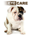 Eye Care