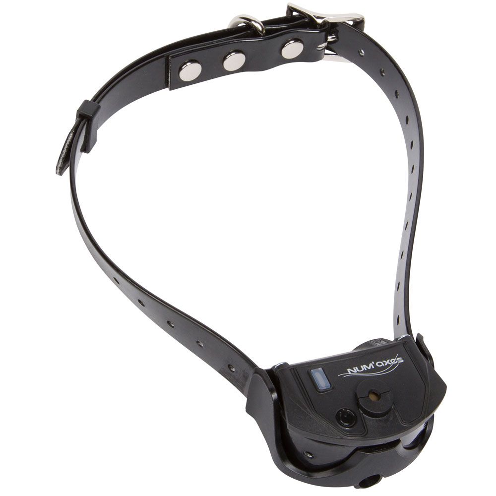 EYENIMAL-CANICOM-SPRAY-EXTRA-COLLAR-BLACK