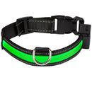 Eyenimal USB Light Collar Rechargeable Green - Large