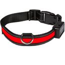 Eyenimal USB Light Collar Rechargeable Red - Medium