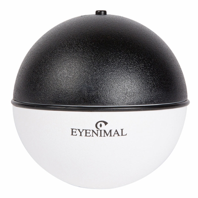 EYENIMAL-ROLLING-BALL