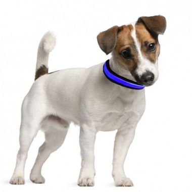 EYENIMAL-LIGHT-COLLAR-GREEN-LARGE