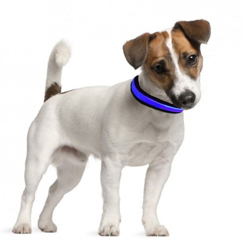 EYENIMAL-LIGHT-COLLAR-GREEN-LARGE