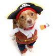 Fantasy Costumes