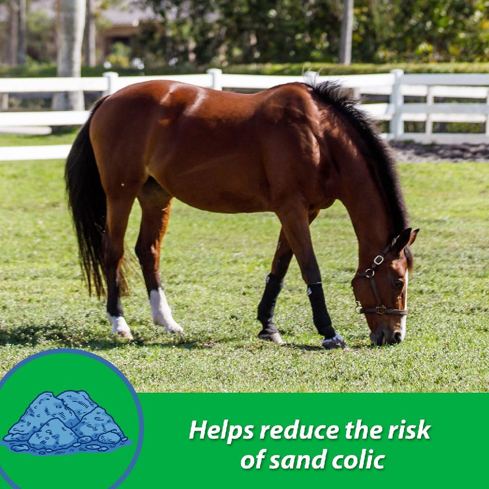 FARNAM-SANDCLEAR-NATURAL-PSYLLIUM-CRUMBLES-APPLE-MOLASSES-FLAVOR-3LB