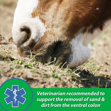 FARNAM-SANDCLEAR-NATURAL-PSYLLIUM-CRUMBLES-APPLE-MOLASSES-FLAVOR-3LB