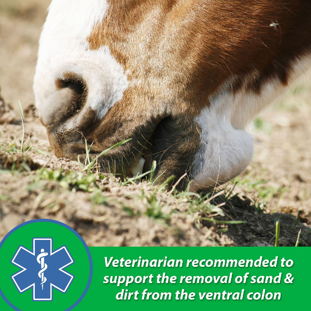 FARNAM-SANDCLEAR-NATURAL-PSYLLIUM-CRUMBLES-APPLE-MOLASSES-FLAVOR-3LB