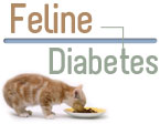 Feline Diabetes