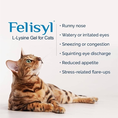 FELISYL1