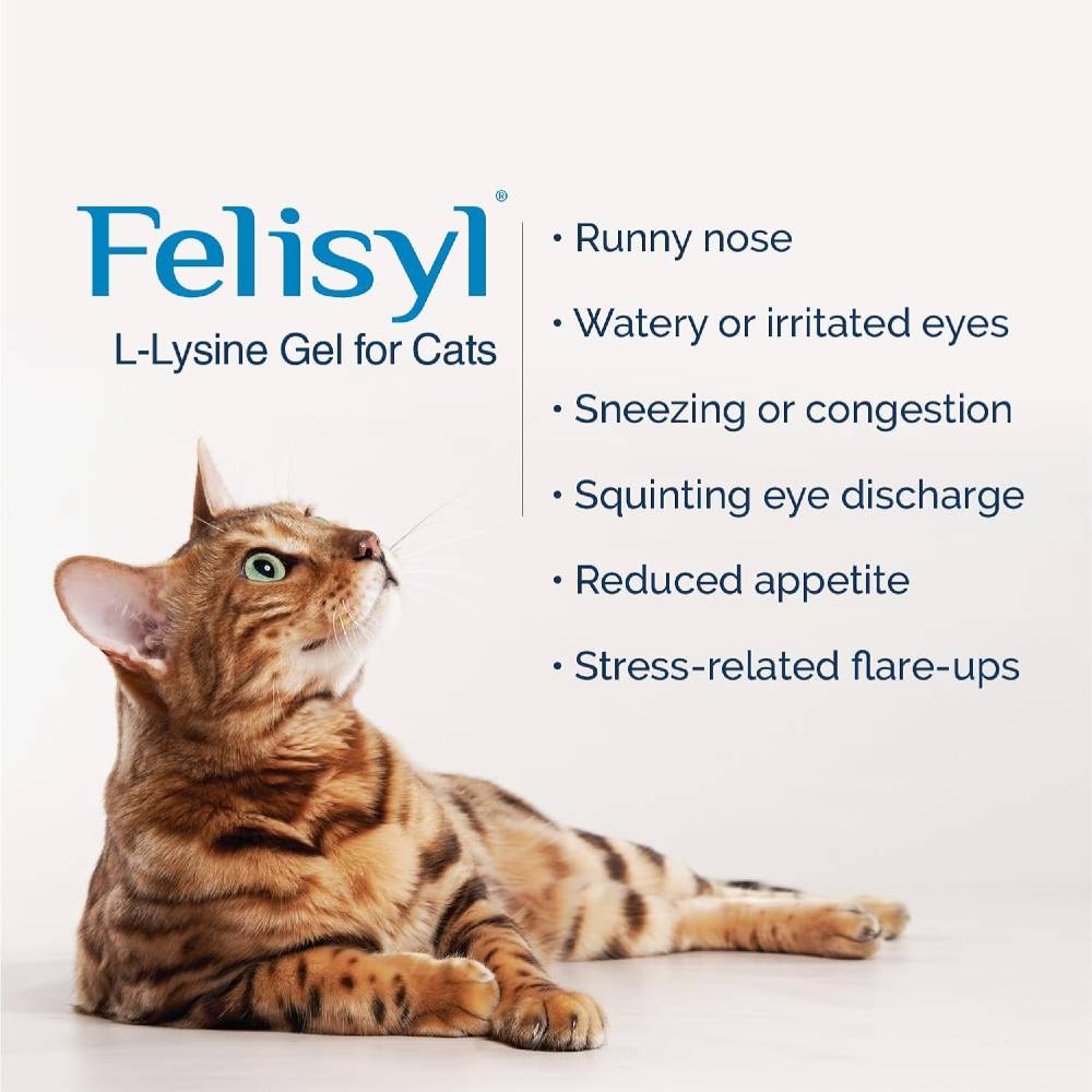 FELISYL1