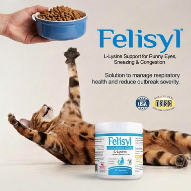 FELISYL1