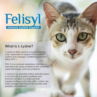 PHS-FELISYL-L-LYSINE-GEL