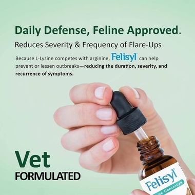 FELISYL-PLUS-L-LYSINE-FELINE-LIQUID-CHICKEN-FLAVOR-2-FLOZ