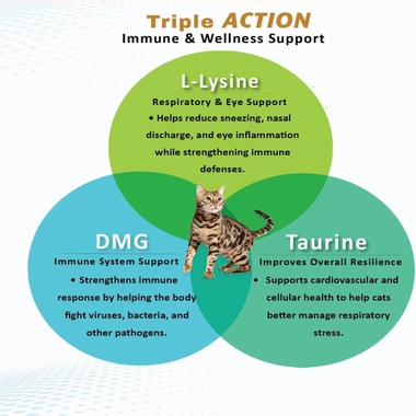 FELISYL-PLUS-L-LYSINE-FELINE-LIQUID-CHICKEN-FLAVOR-2-FLOZ