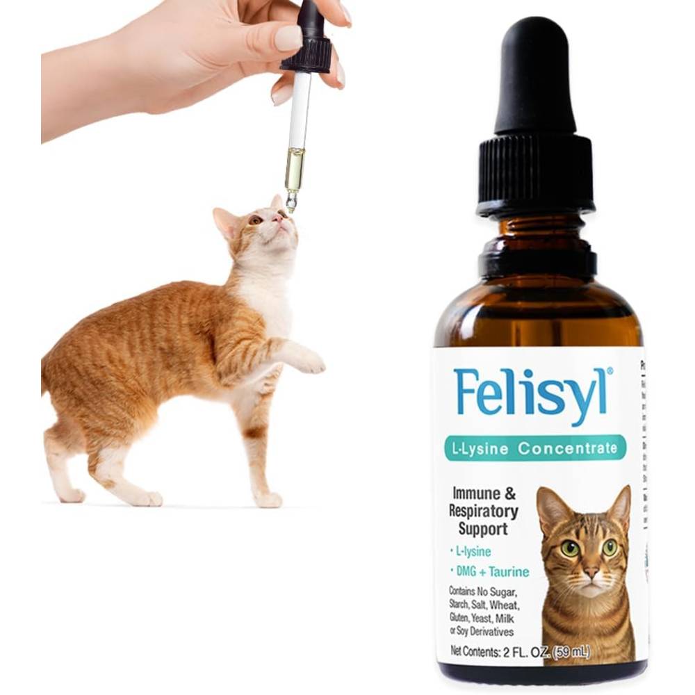 FELISYL-PLUS-L-LYSINE-FELINE-LIQUID-CHICKEN-FLAVOR-2-FLOZ