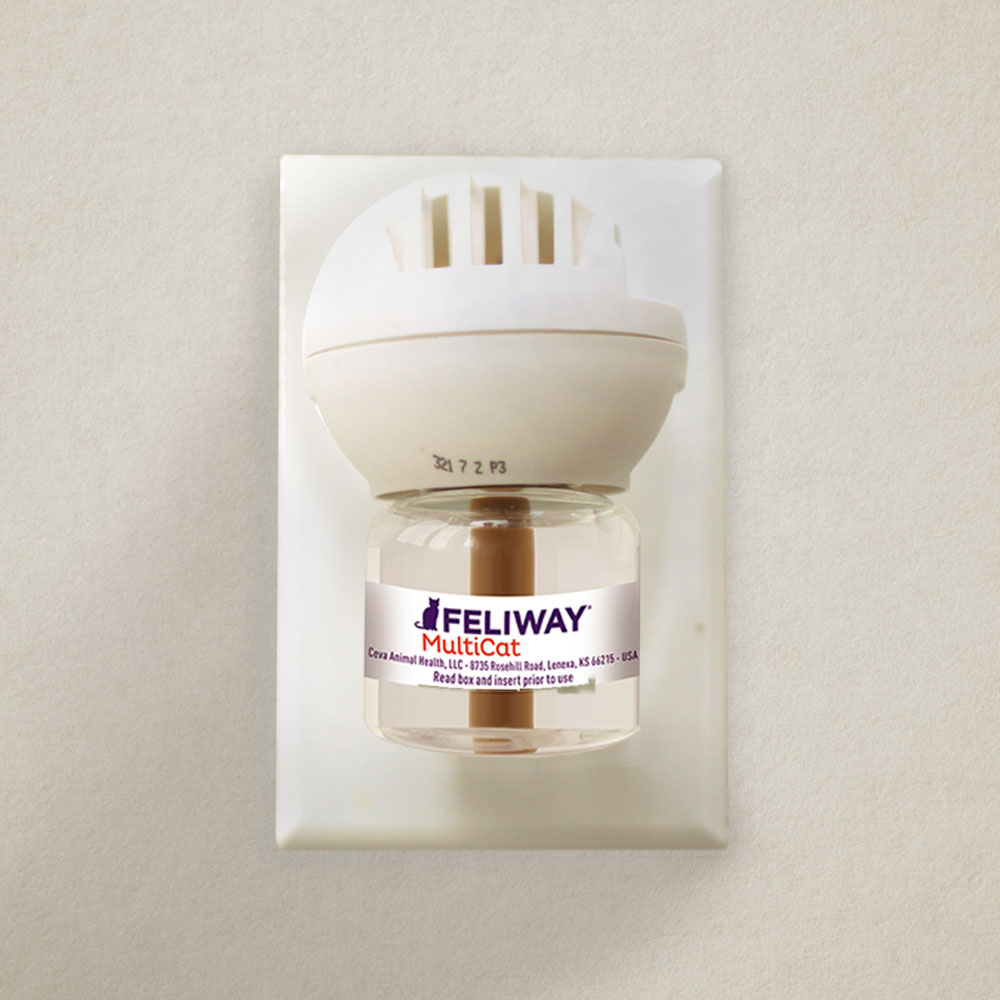 Diffuser with vial plugged into electrical outlet