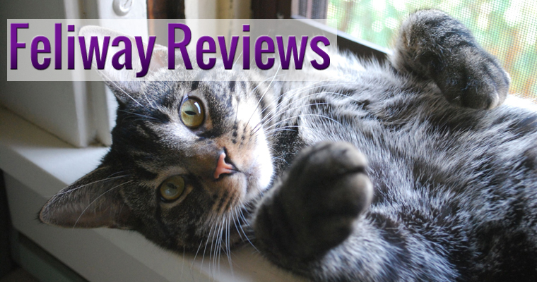 Feliway Reviews