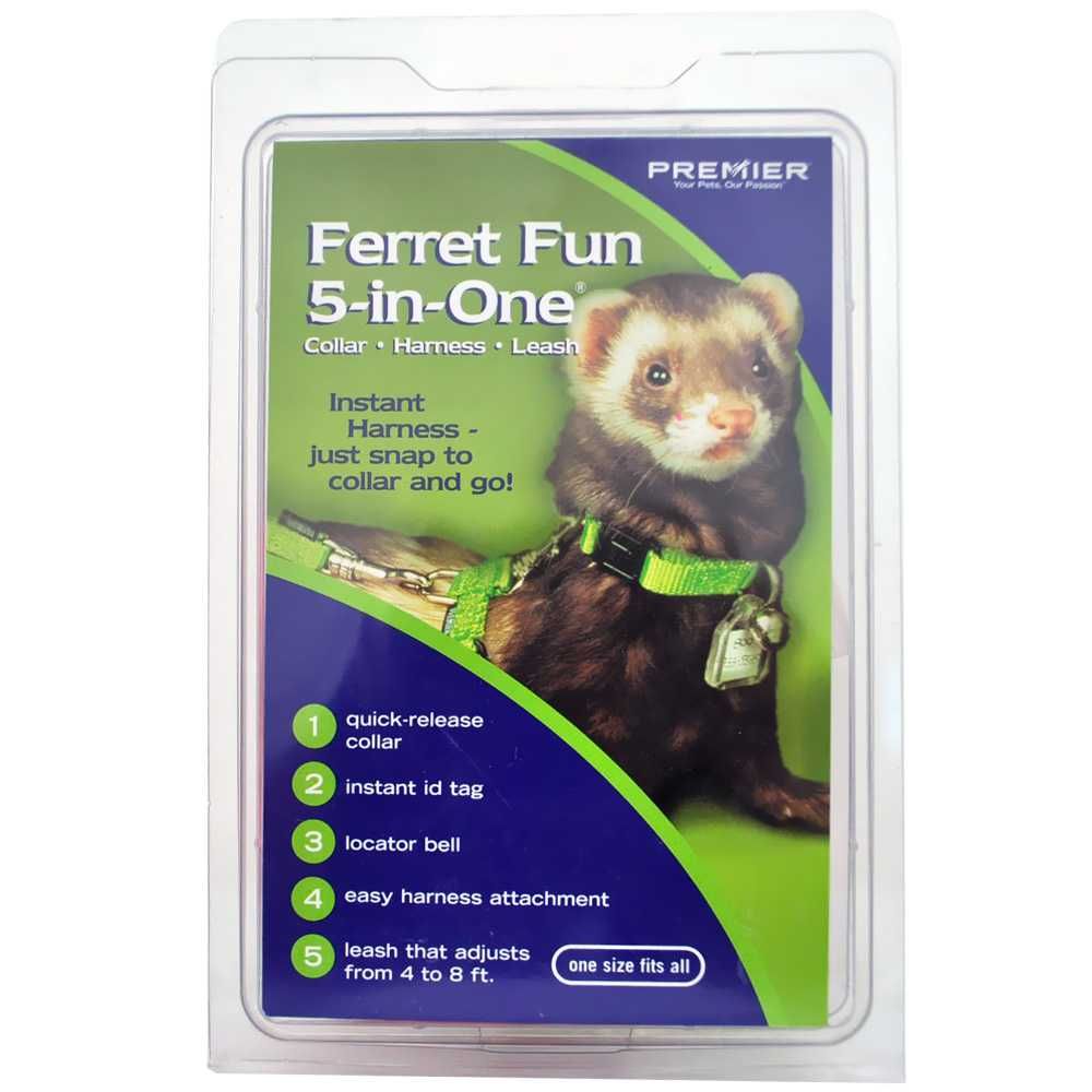 FERRETFUN