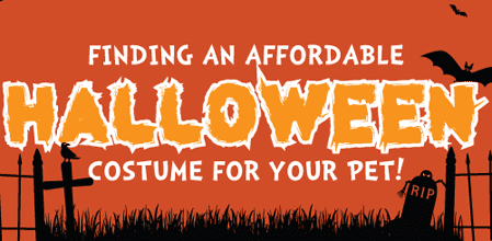 Finding An Affordable Costume For Your Pet