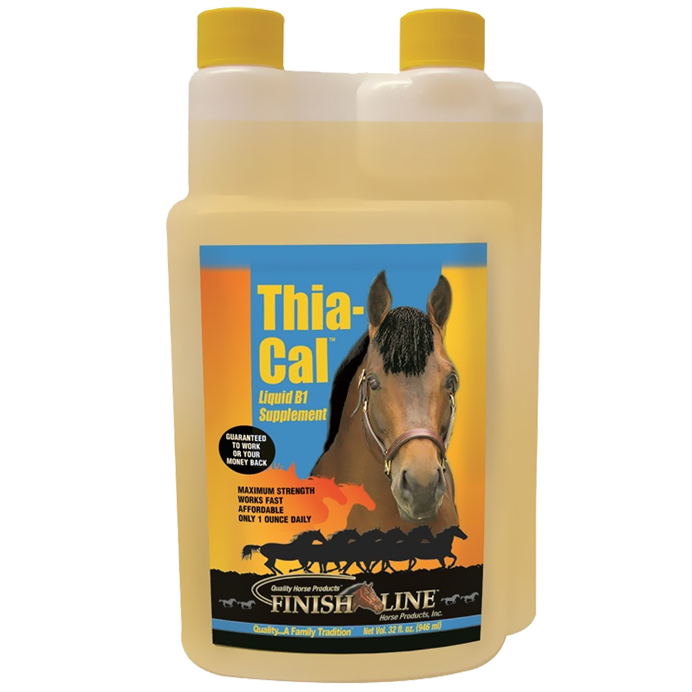 Finish Line Horse Liquid B1 Supplement