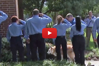 Firefighters Salute The Last 9/11 Search And Rescue Dog