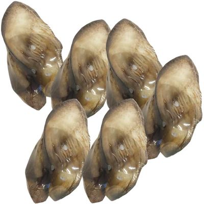 FIRST-COMPANION-BEEF-EAR-6-PACK