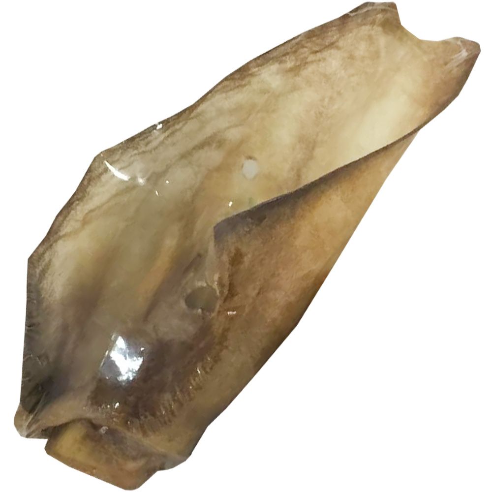 FIRST-COMPANION-BEEF-EAR-6-PACK