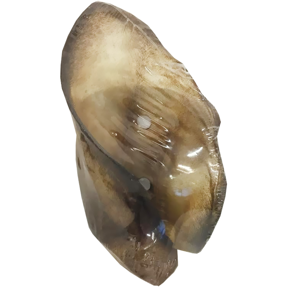 First Companion Tracheas & Ears