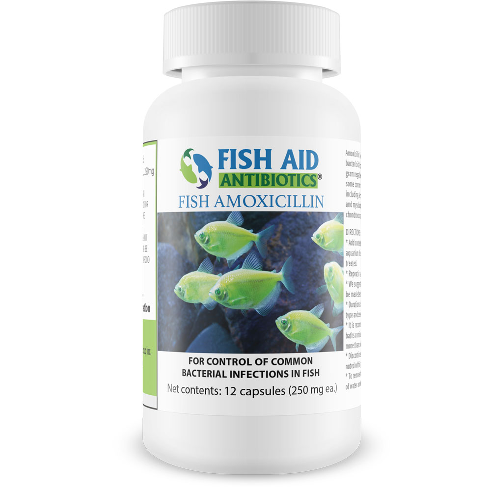 Fish Aid