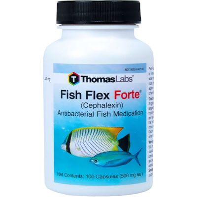 FISHFLEXFORTE1