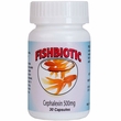 Fishbiotic Fish Medications & Vitamins