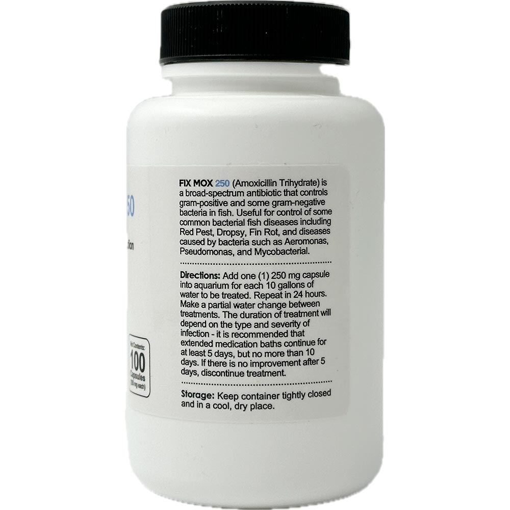 FIX-MOX-AMOXICILLIN-250MG-100-CAPSULES