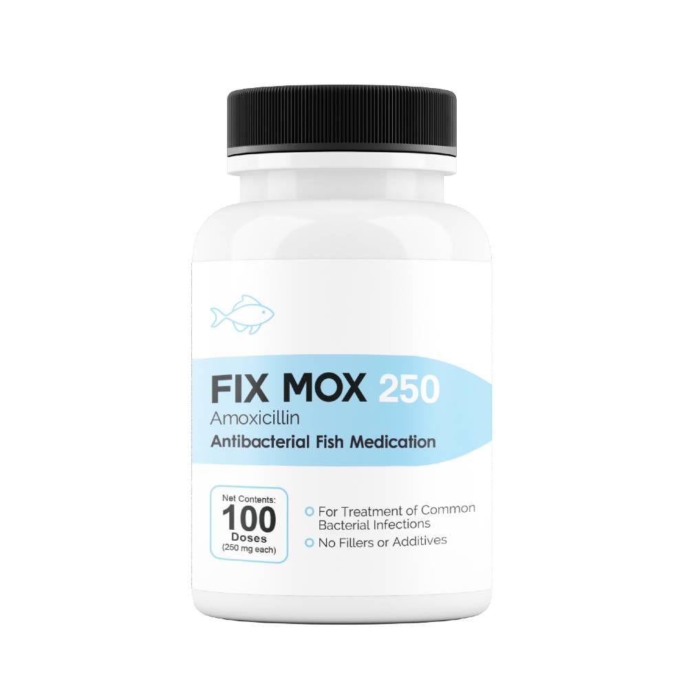FIX-MOX-AMOXICILLIN-250MG-100-CAPSULES