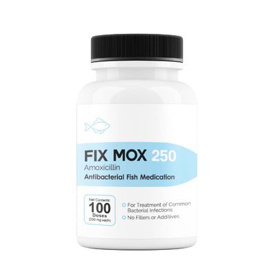 FIX-MOX-AMOXICILLIN-250MG-100-CAPSULES