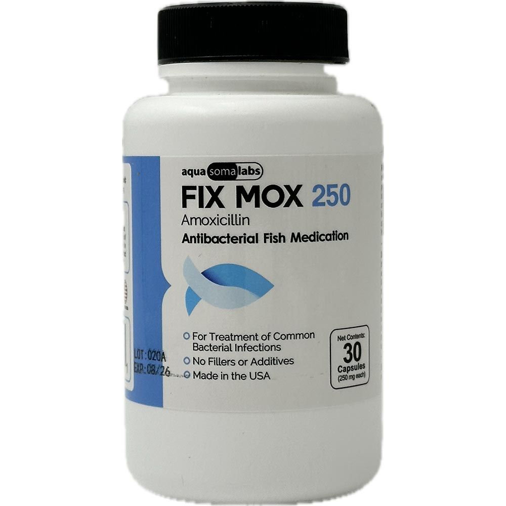 FIX-MOX-AMOXICILLIN-250MG-30-CAPSULES