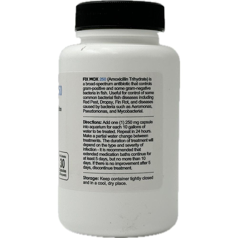 FIX-MOX-AMOXICILLIN-250MG-30-CAPSULES