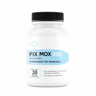 FIX-MOX-AMOXICILLIN-250MG-30-CAPSULES