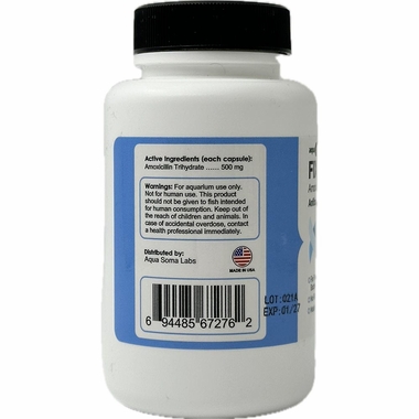 FIX-MOX-AMOXICILLIN-500MG-100-CAPSULES