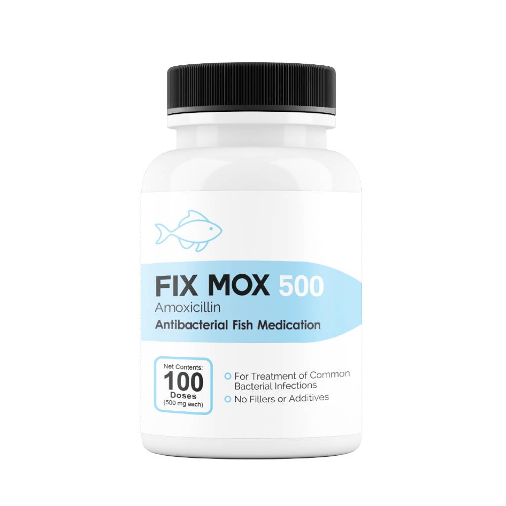 FIX-MOX-AMOXICILLIN-500MG-100-CAPSULES