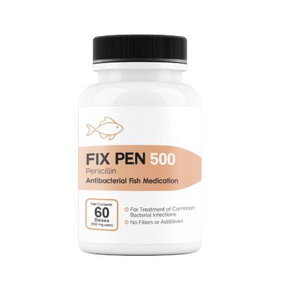 FIX-PEN-PENICILLIN-500MG-60-TABLETS
