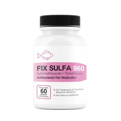 FIX-SULFA-SULFAMETHOXAZOLE-TRIMETHOPRIM-960MG-60-TABLETS