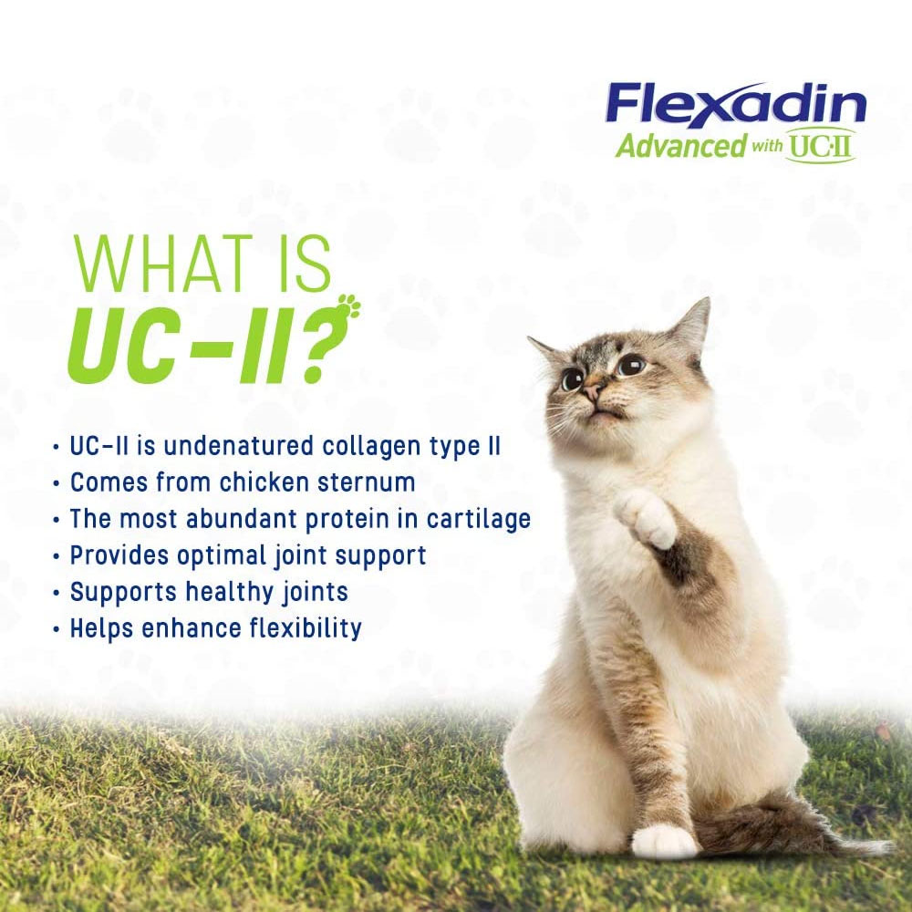 FLEXADIN-ADVANCED-CHEWS-UCII-180-CHEWS