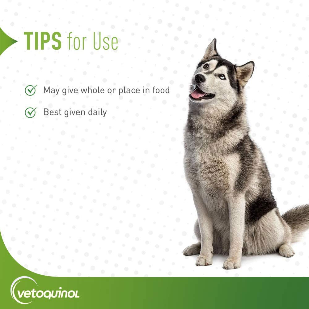 FLEXADIN-PLUS-LARGE-DOGS-90-CHEWS