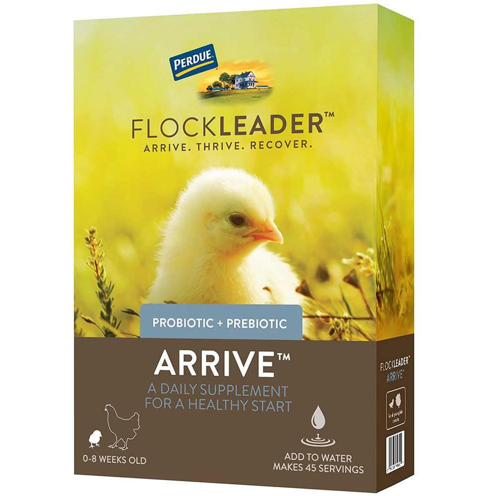FLOCKLEADER-ARRIVE-POULTRY-SUPPLEMENT-8OZ