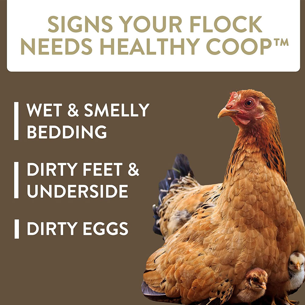 FLOCKLEADER-HEALTHY-COOP-12LB